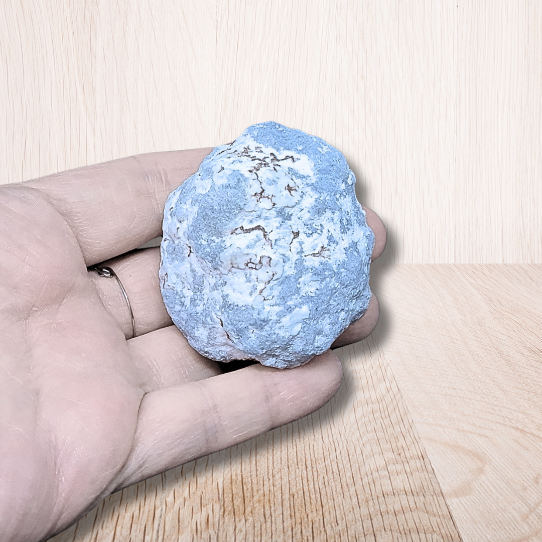Nodule d'Angélite brute (MB521-2)