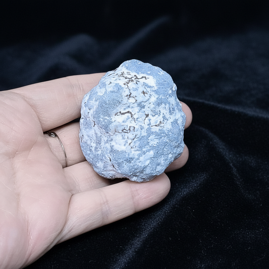 Nodule d'Angélite brute 111g (MB521-2)