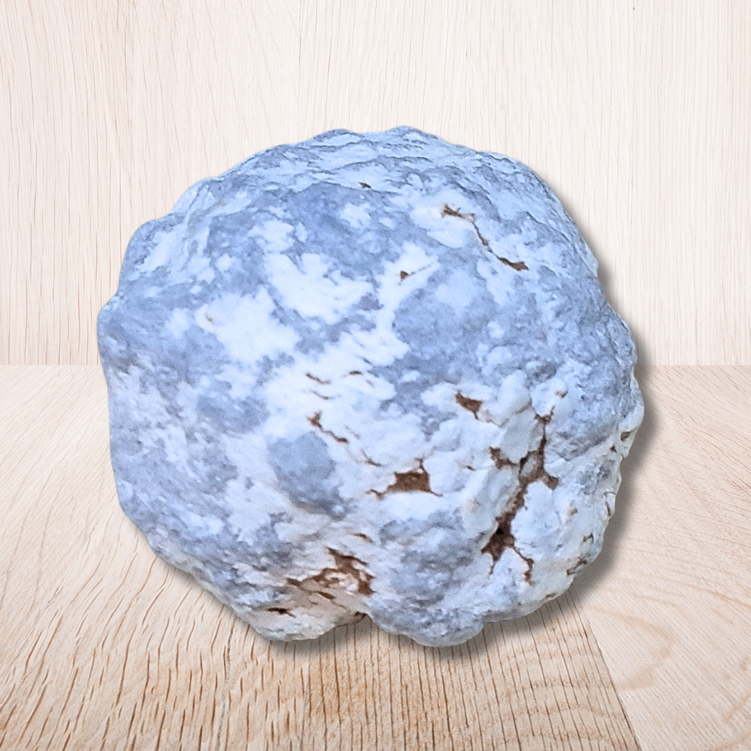 Nodule d'Angélite brute (MB521-2)