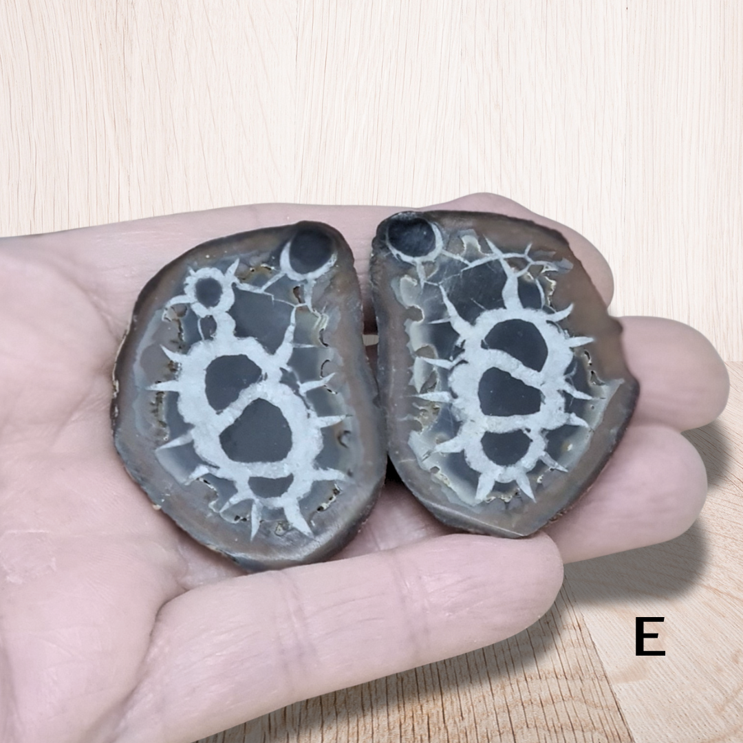 Nodule entier de Septaria, au choix (PRGFL301) - ENAE Minéraux