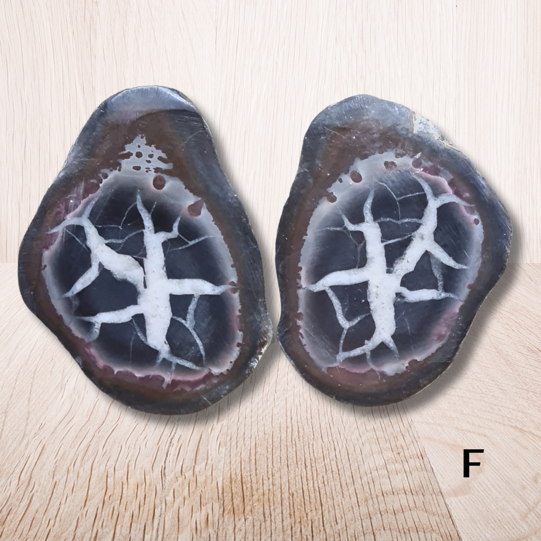 Nodule entier de Septaria, au choix (PRGFL301) - ENAE Minéraux