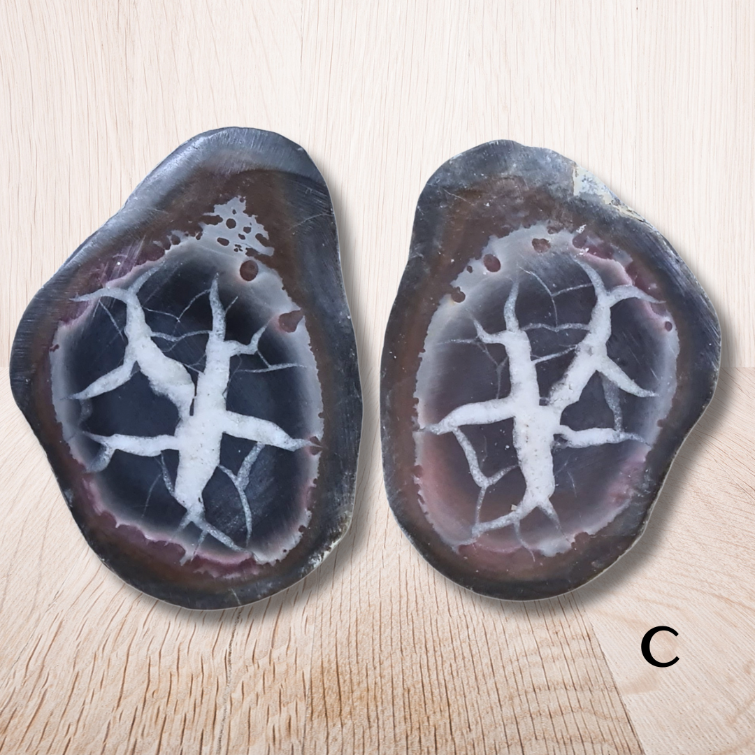 Nodule entier de Septaria, au choix (PRGFL301) - ENAE Minéraux