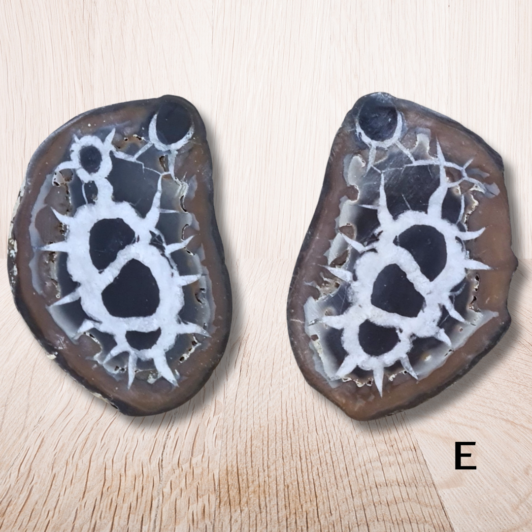 Nodule entier de Septaria, au choix (PRGFL301) - ENAE Minéraux