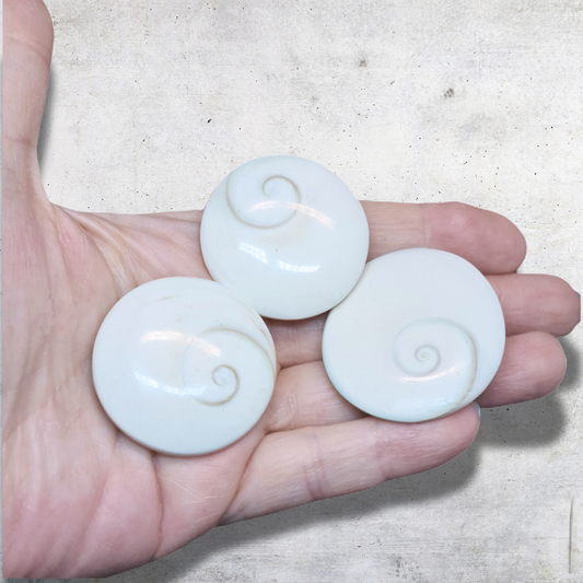 Œil de Sainte-Lucie rond (PRGFL532)