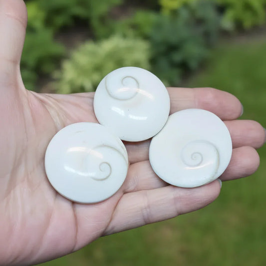 Œil de Sainte-Lucie rond (PRGFL532)