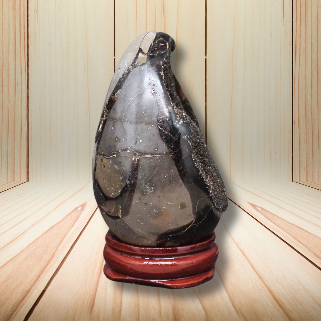 Œuf en Septaria brut et poli 146g (PRGFL588-12) - ENAE Minéraux
