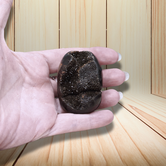 Œuf en Septaria brut et poli 94g (PRGFL588-1)