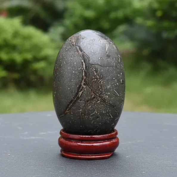 Œuf en Septaria brut et poli 83g (PRGFL588-2)