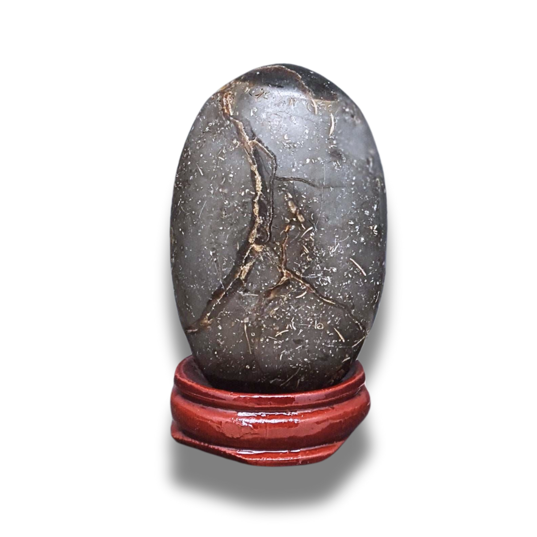 Œuf en Septaria brut et poli (PRGFL588-2) - ENAE Minéraux