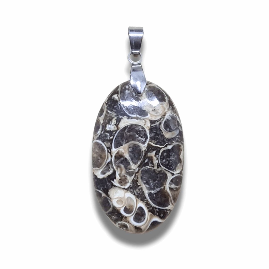 Pendentif en Agate à Turritelles (PE449)