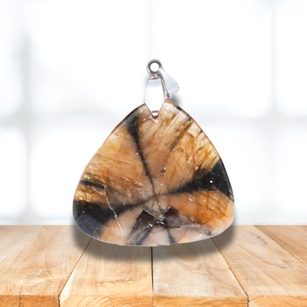 Pendentif en Chiastolite (Andalousite) (PE1365-1) - ENAE Minéraux