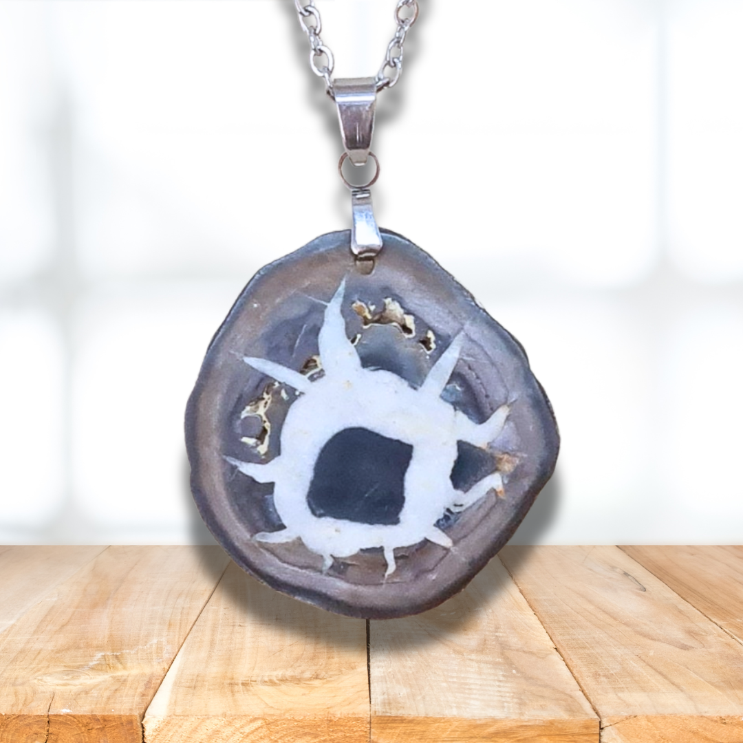 Pendentif en Septaria dos brut (PE1329) - ENAE Minéraux