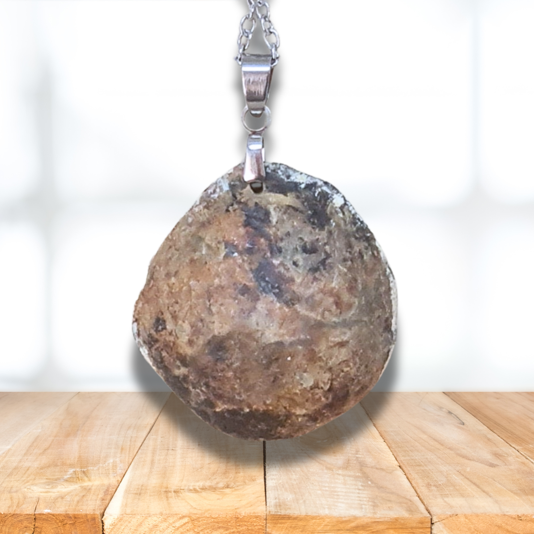 Pendentif en Septaria dos brut (PE1329) - ENAE Minéraux