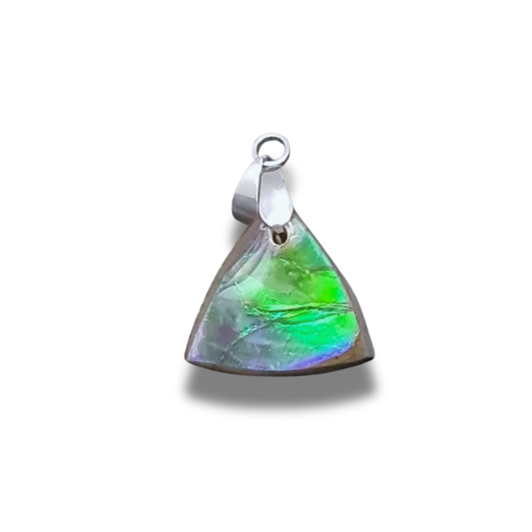 Pendentif en Ammolite (PE1909-4)