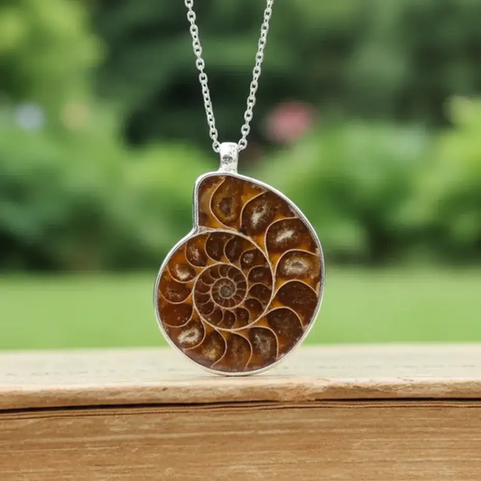 Pendentif serti en Ammonite dos brut (PE1828 - 1)