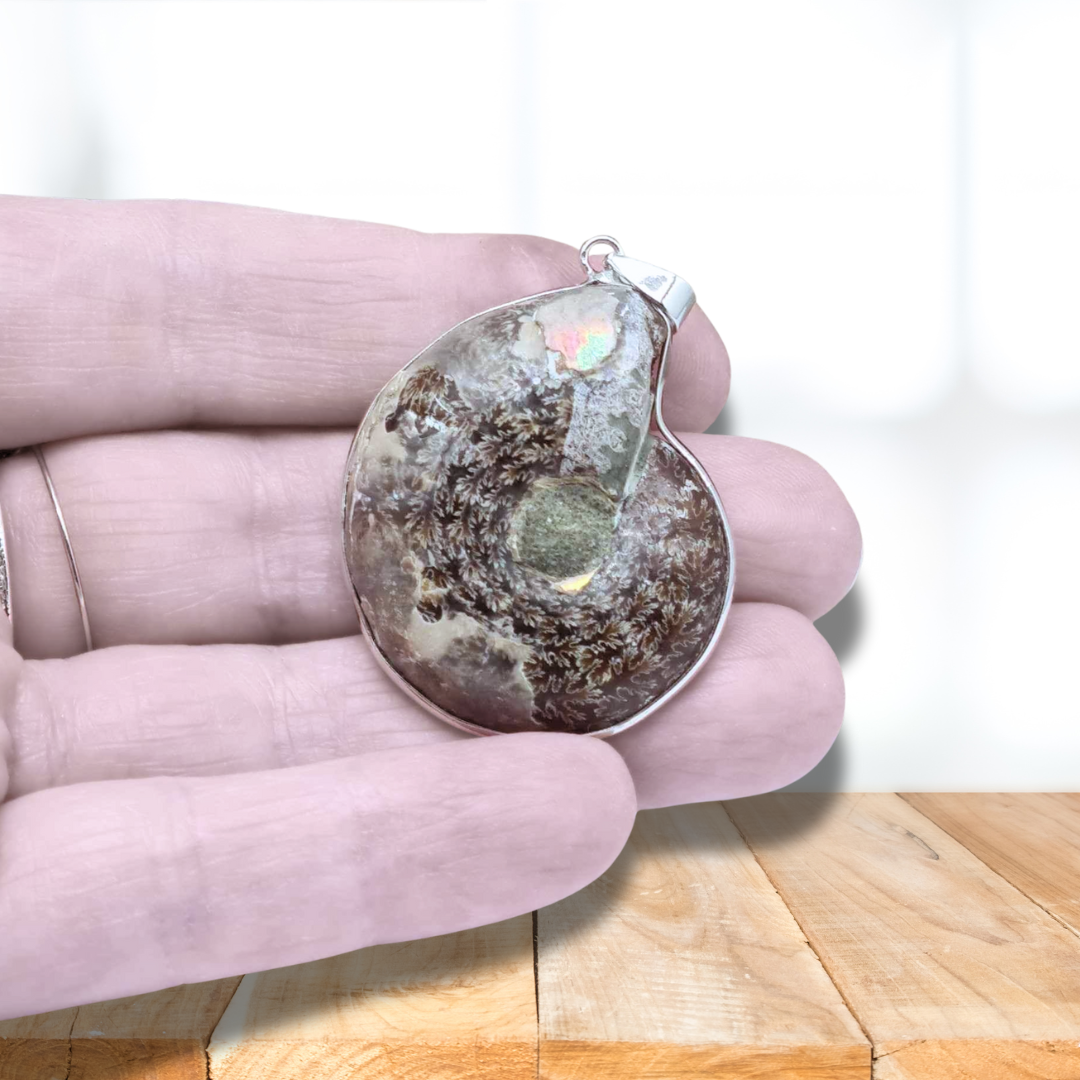 Pendentif serti en Ammonite dos brut (PE1828-1) - ENAE Minéraux