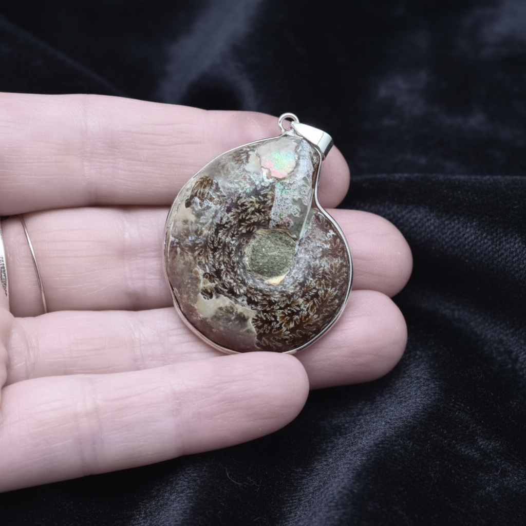 Pendentif serti en Ammonite dos brut (PE1828-1)