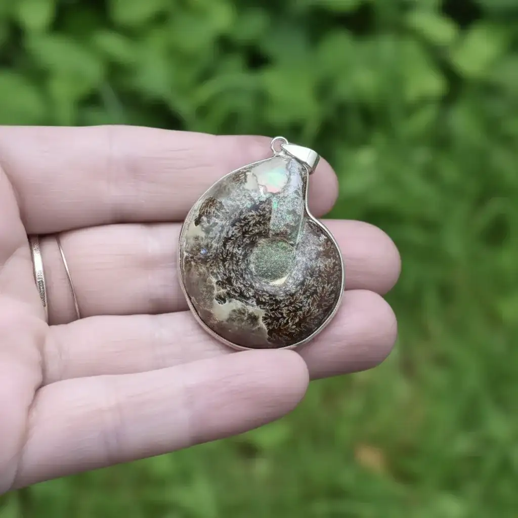 Pendentif serti en Ammonite dos brut (PE1828 - 1)