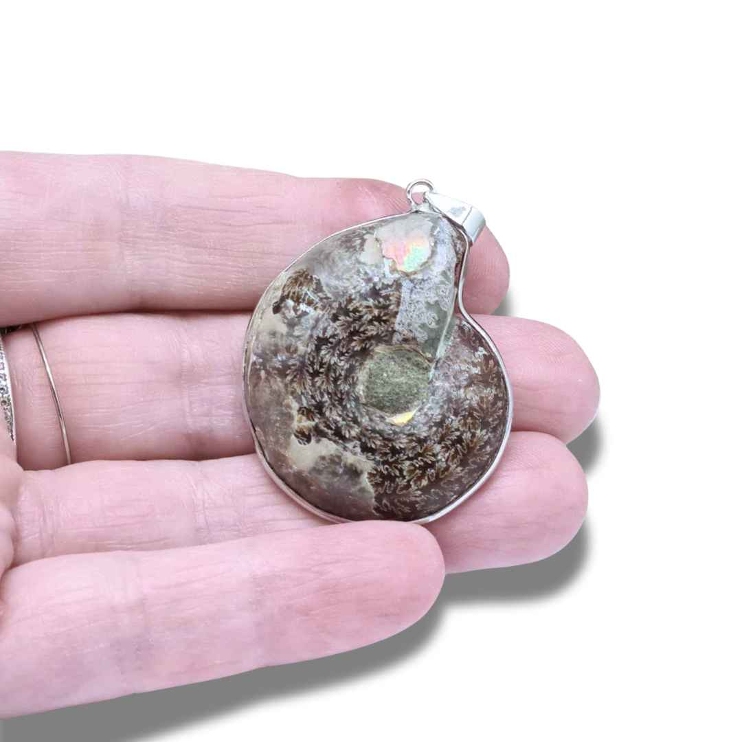 Pendentif serti en Ammonite dos brut (PE1828-1)