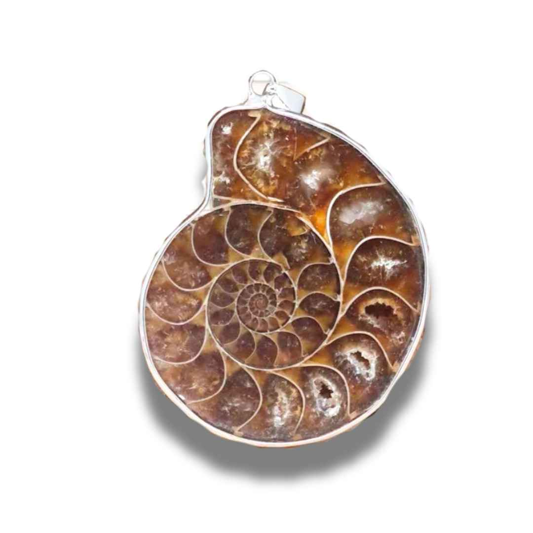 Pendentif serti en Ammonite dos brut (PE1828-1)