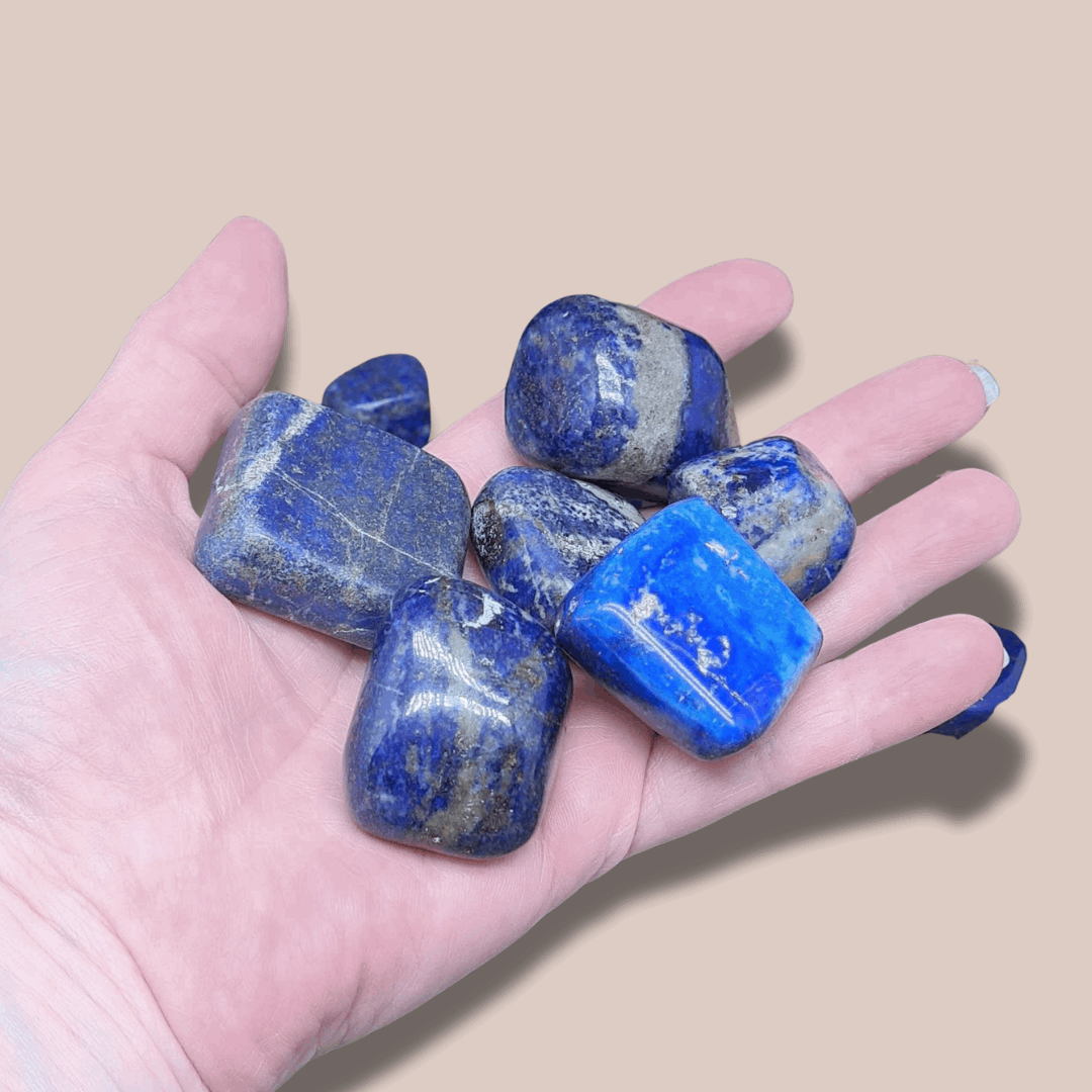 Pierres polies en Lapis-Lazuli (PRGFL695)