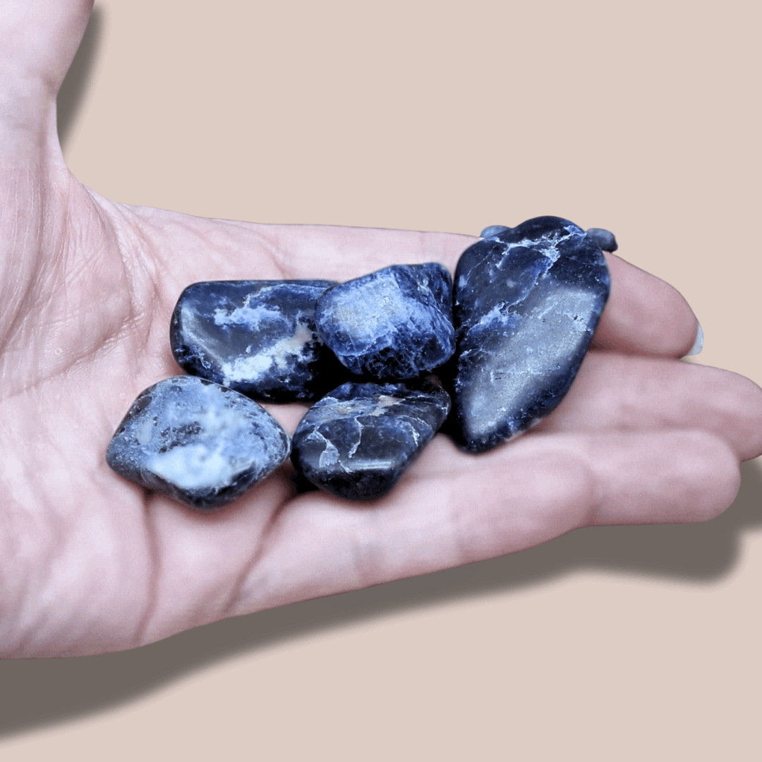 Sodalite - Pierre roulée (PRGFL448)
