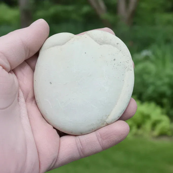 Pierre de Fée du Canada brute 79g (MB431-15)