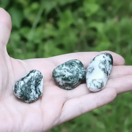Agate Arbre - Pierre roulée (PRGFL433)