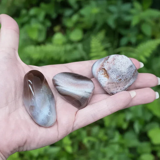 Agate du Botswana - Pierre roulée (PRGFL523)