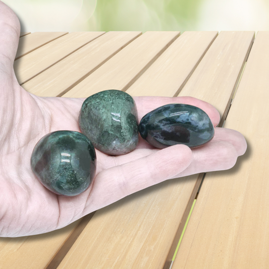 Agate Mousse - Pierre roulée (PRGFL543)