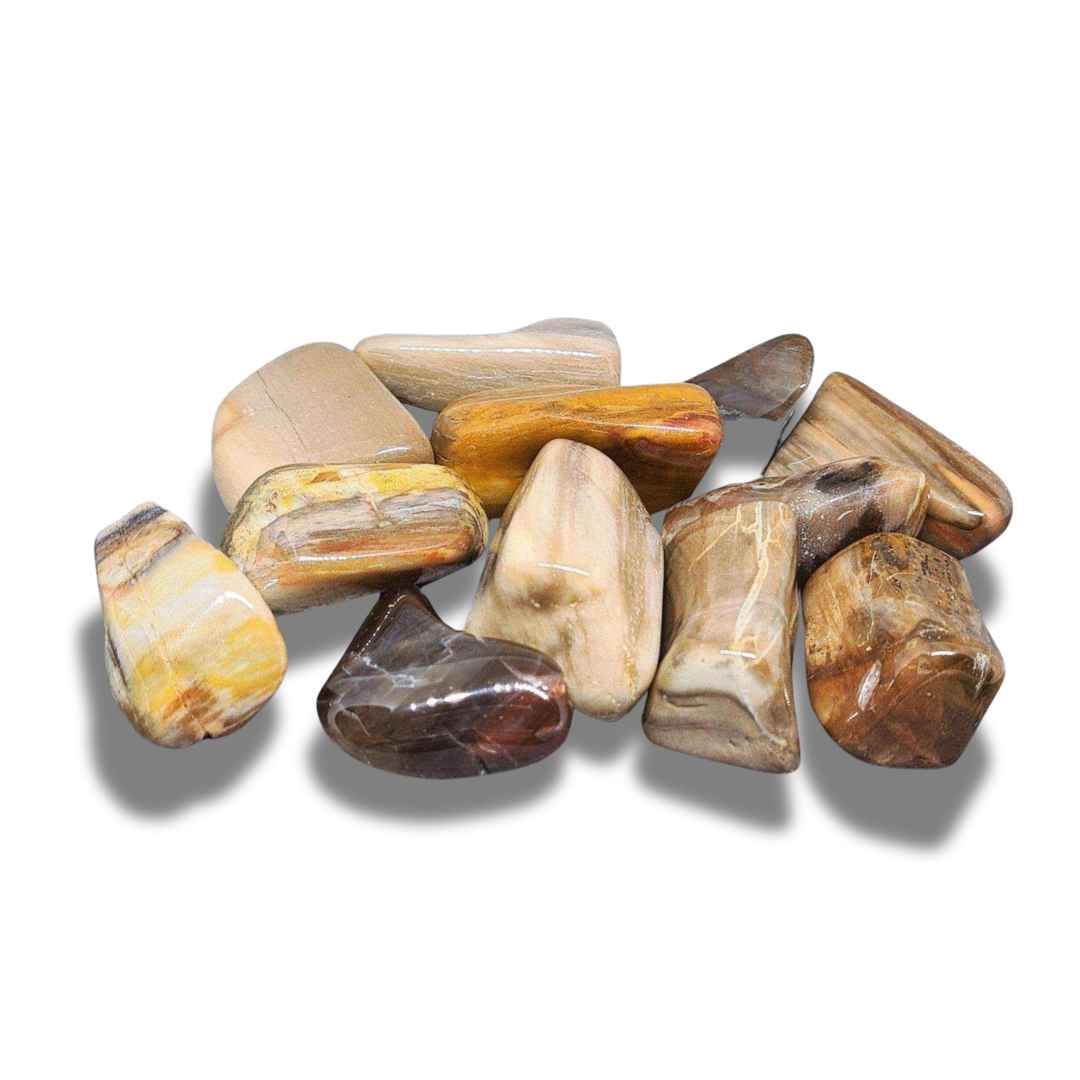 Bois fossilisé - Pierre roulée (PRGFL450) - ENAE Minéraux