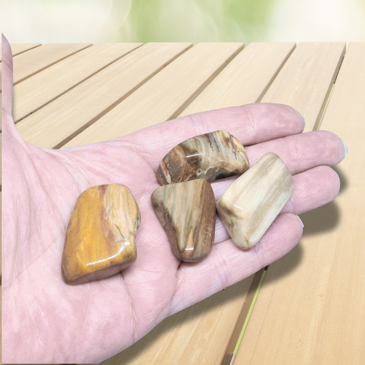 Bois fossilisé - Pierre roulée (PRGFL450)