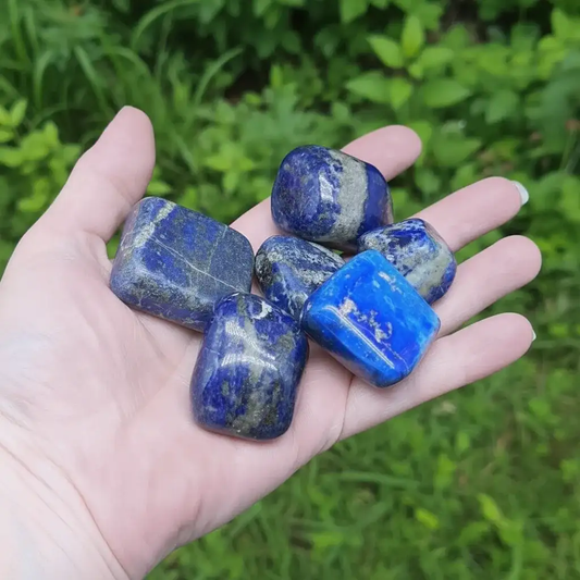 Pierres polies en Lapis - Lazuli (PRGFL695)