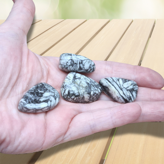 Pinolite - Pierre roulée (PRGFL427)