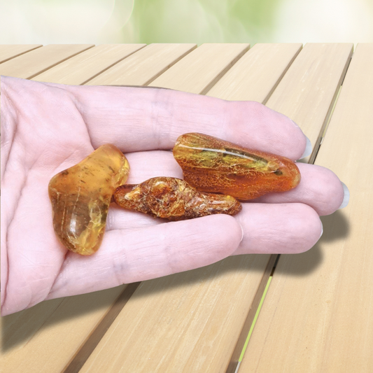 Ambre de la Baltique - Pierre roulée (PRGFL431)