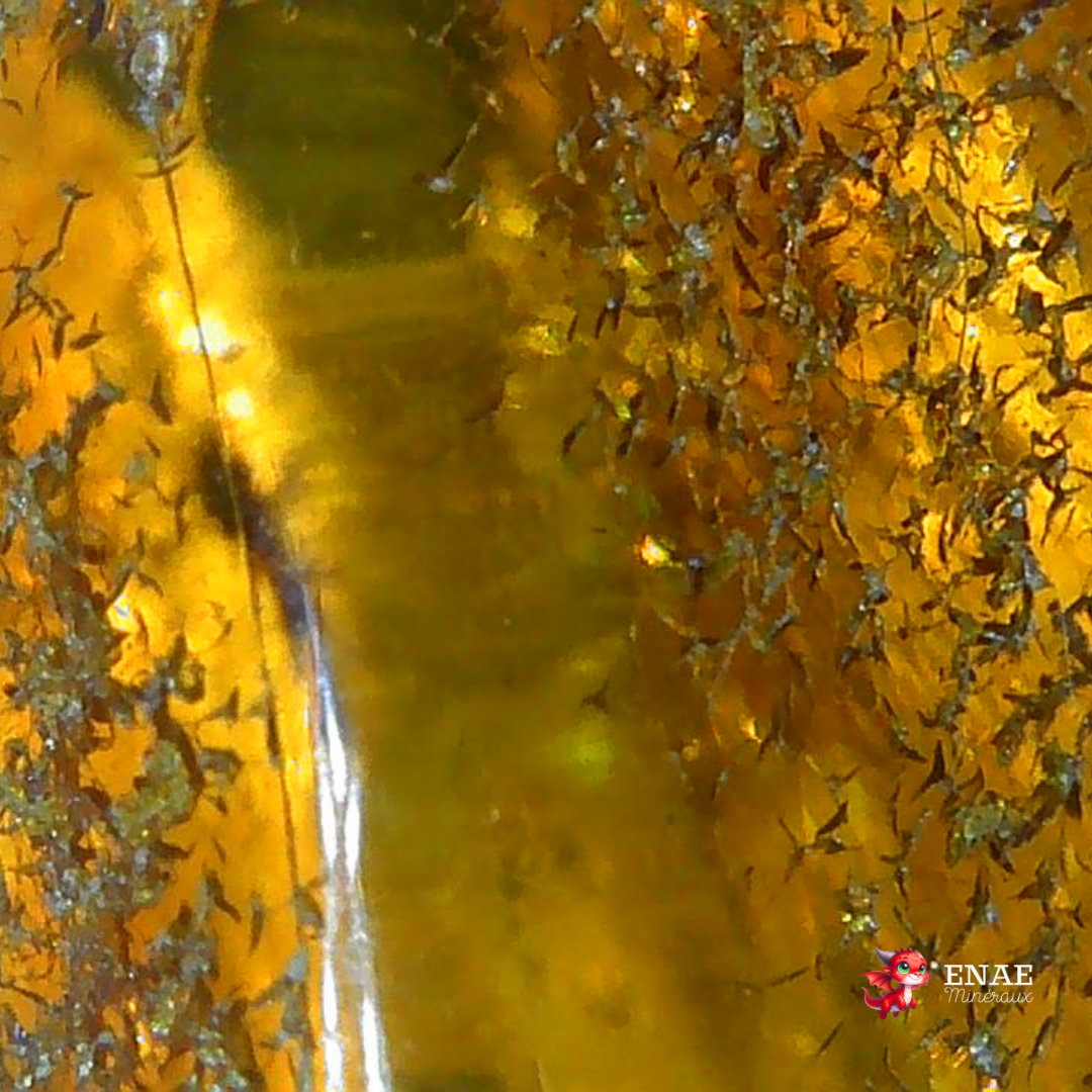 Ambre de la Baltique - Pierre roulée (PRGFL431)