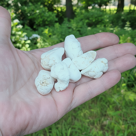 Magnésite pierre roulée (PRGFL457) - ENAE Minéraux