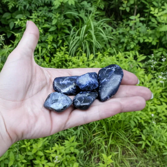 Sodalite - Pierre roulée (PRGFL448)