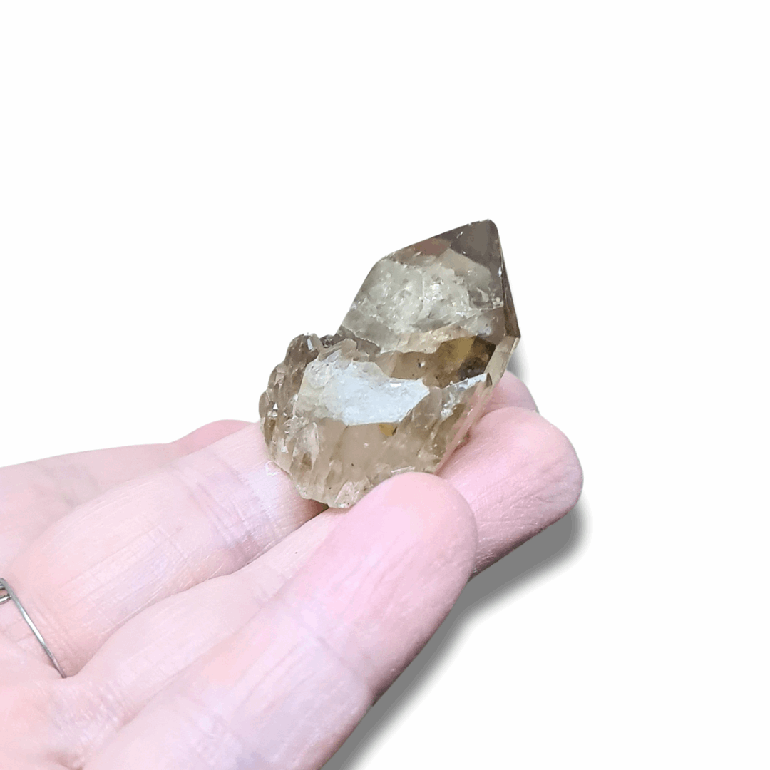 Pointe de Citrine brute (MB522-15)