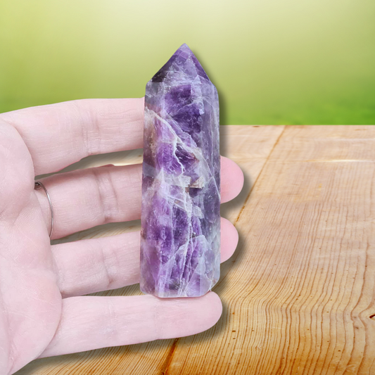 Pointe en Améthyste (PRGFL144-2)