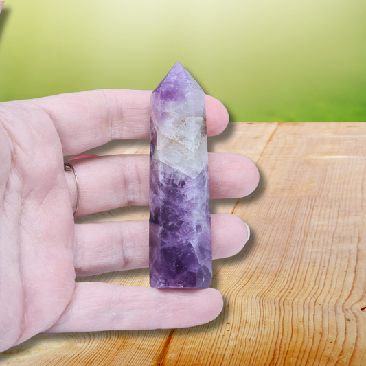 Pointe en Améthyste (PRGFL144-3)