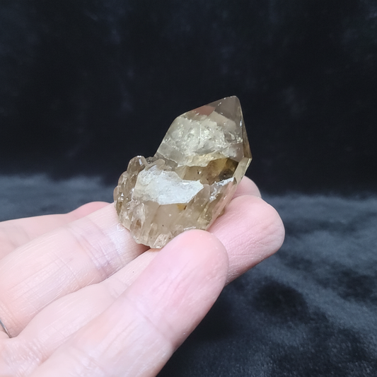 Pointe de Citrine brute (MB522-15)