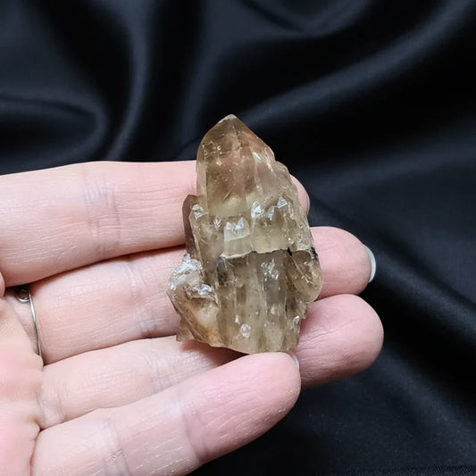 Pointe de Citrine brute (MB522-16)