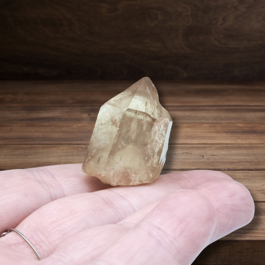 Pointe de Citrine brute naturelle (MB522-6) - ENAE Minéraux