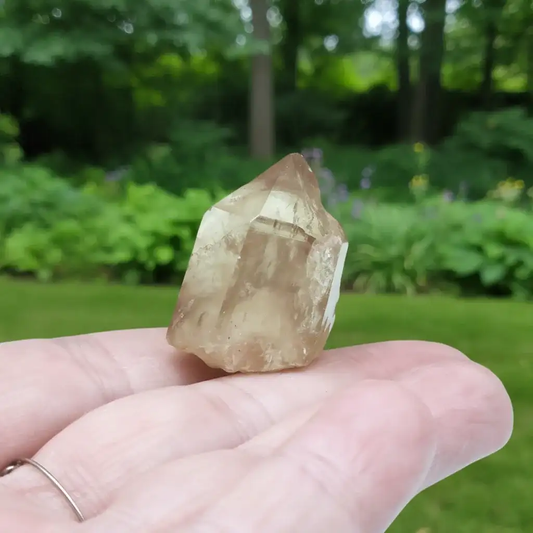 Pointe de Citrine brute naturelle 13g (MB522 - 6)