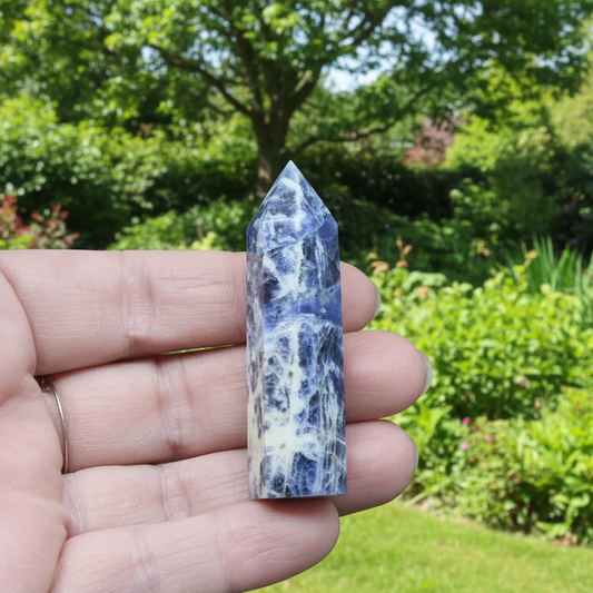 Pointe en Sodalite 19g (PRGFL507-1)