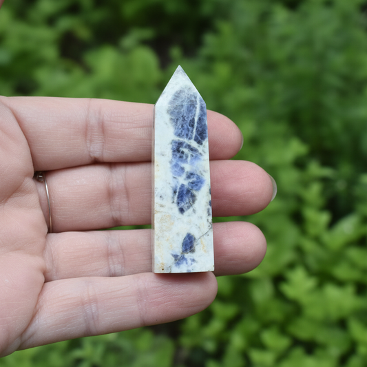 Pointe en Sodalite 18g (PRGFL507-3)