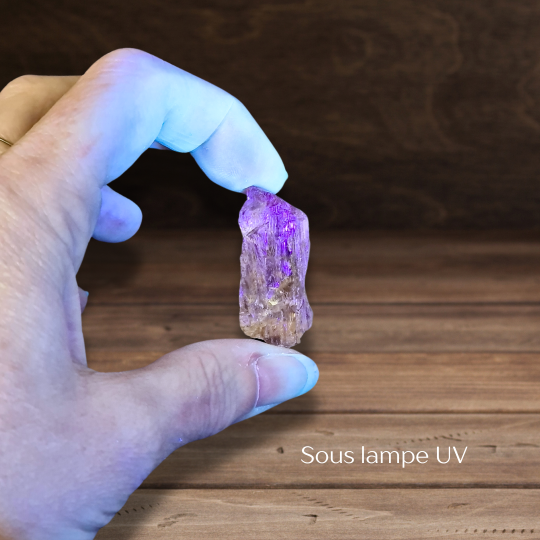 Scapolite brute 11g (MB551-2) - ENAE Minéraux