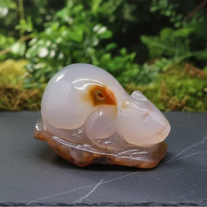Souris (ou rat) en Agate 177g (PRGFL536 - 2)