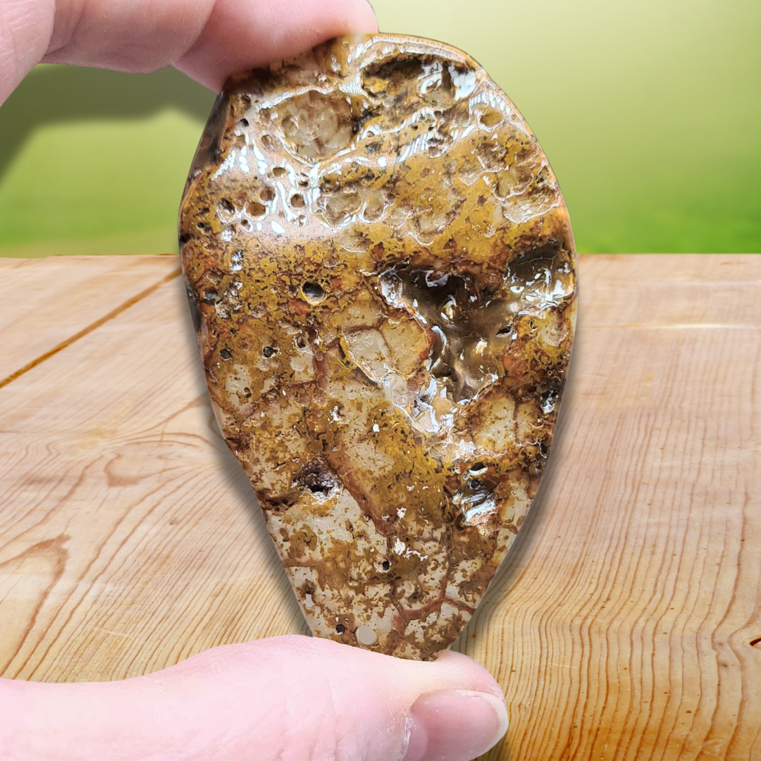 Souris (ou rat) en Agate (PRGFL536-4)